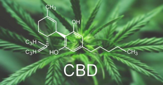 how much cbd oil