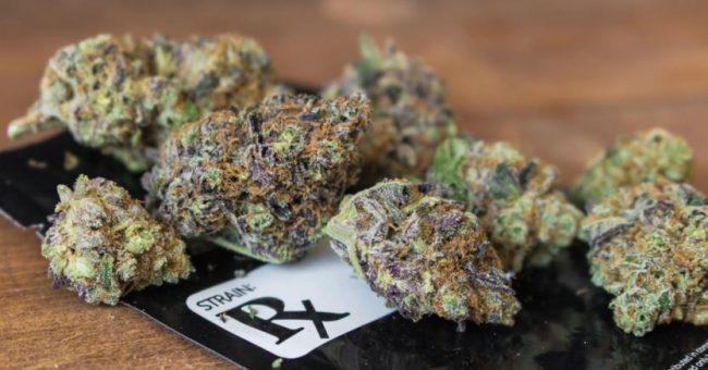 what kind of doctors can certify for mmj