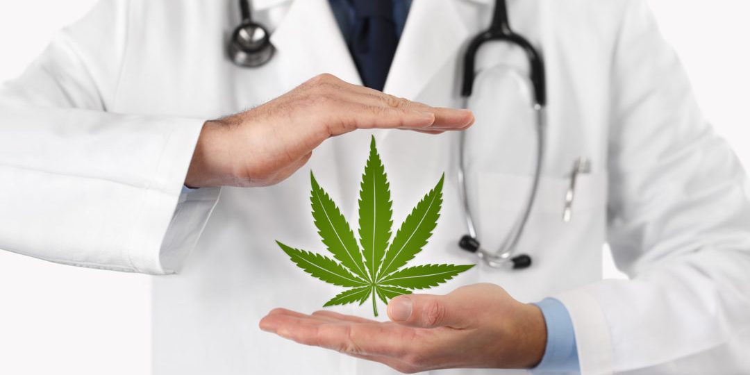 doctor hands with marijuana symbol medical concept