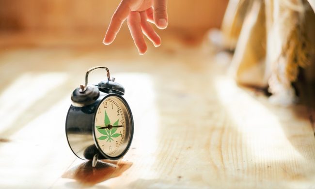 can-a-tolerance-break-rejuvenate-the-effects-of-cannabis