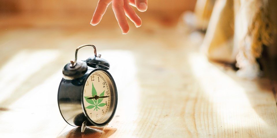 can-a-tolerance-break-rejuvenate-the-effects-of-cannabis