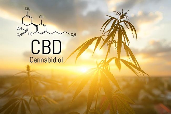 cbd 101