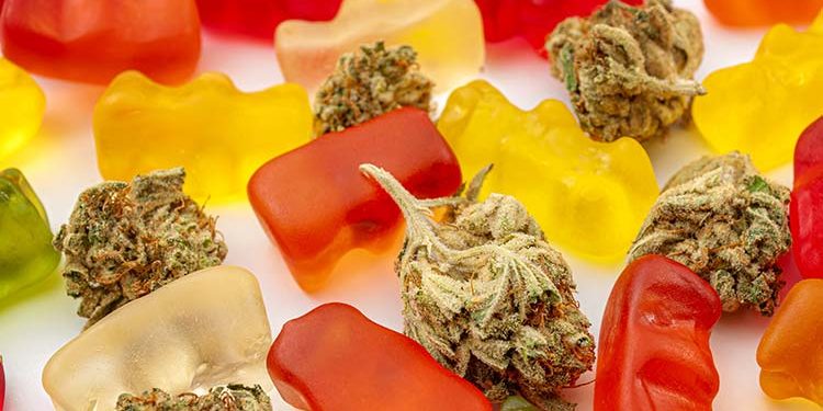 protect-your-lungs-switching-to-edibles
