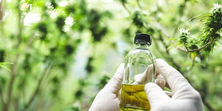 science-of-cbd-blog-img-OFW