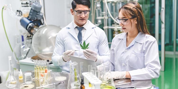 cbd-and-medicine-blog-img-OFW