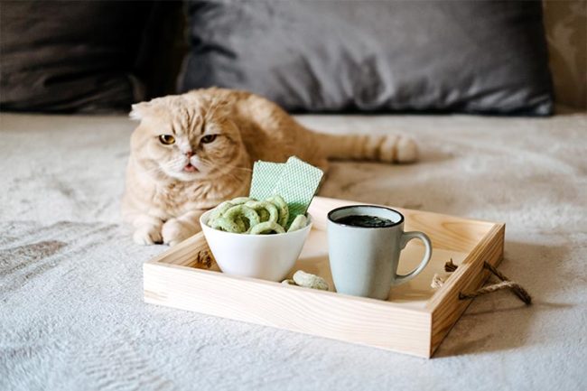 image of cbd products