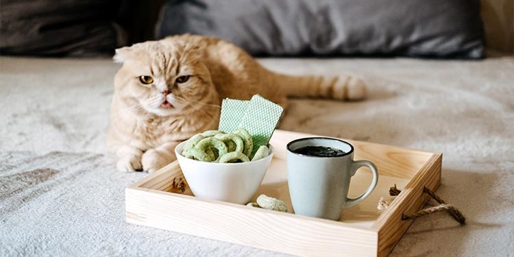 image of cbd products