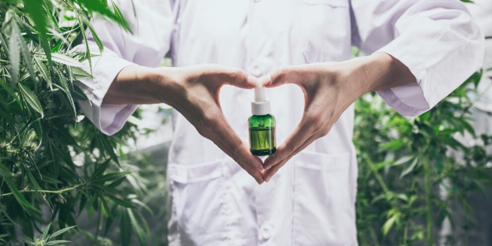 CBD and heart health blog img