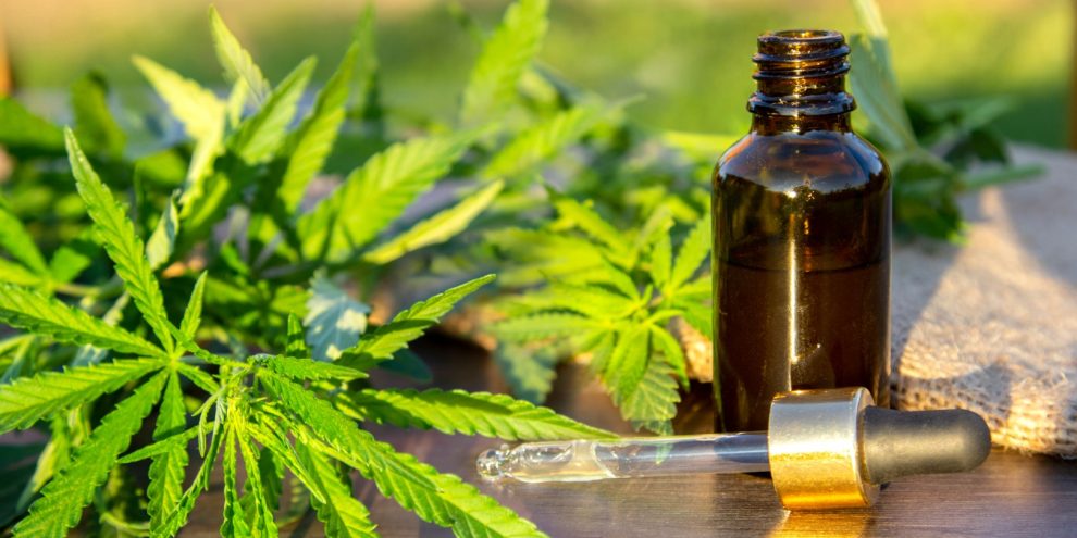 cbd morning vs night blog img (Large)