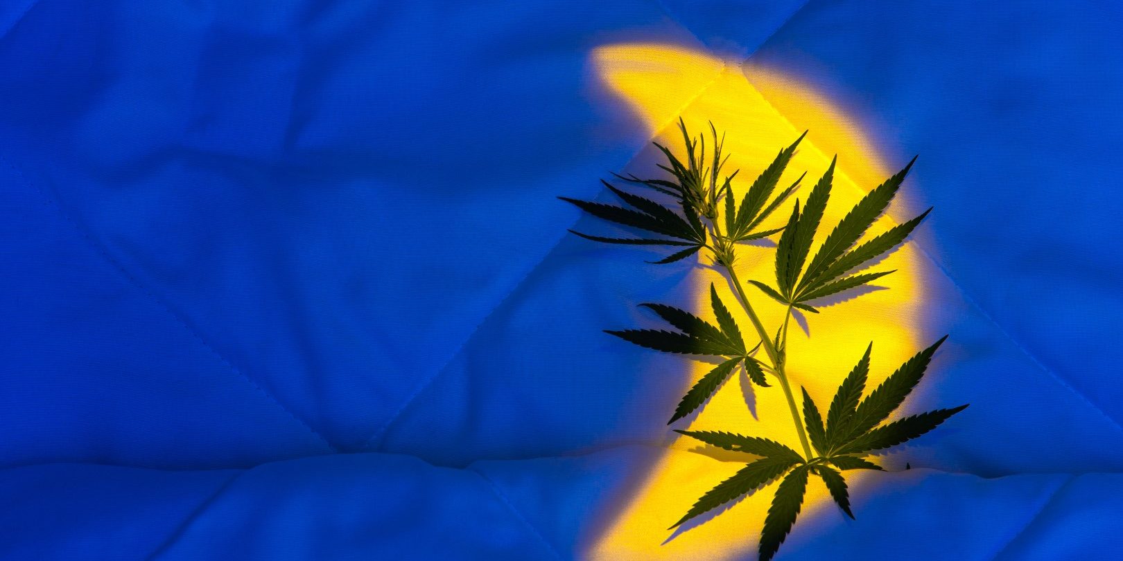 mmj for sleep blog img